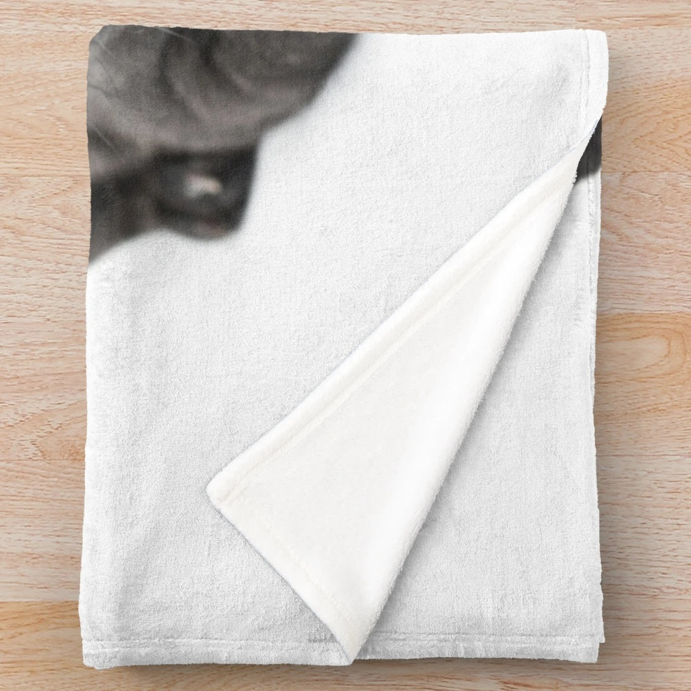 Soft and Cozy Plush Blanket Featuring a Cute French Bulldog Puppy Design