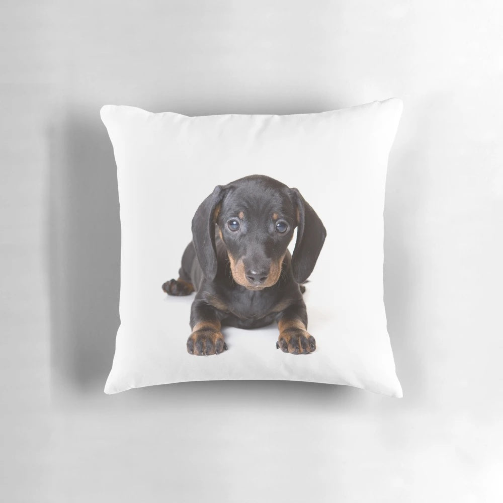 Charming dachshund puppy dog printed on a plush, colorful pillow