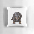 Charming dachshund puppy dog printed on a plush, colorful pillow