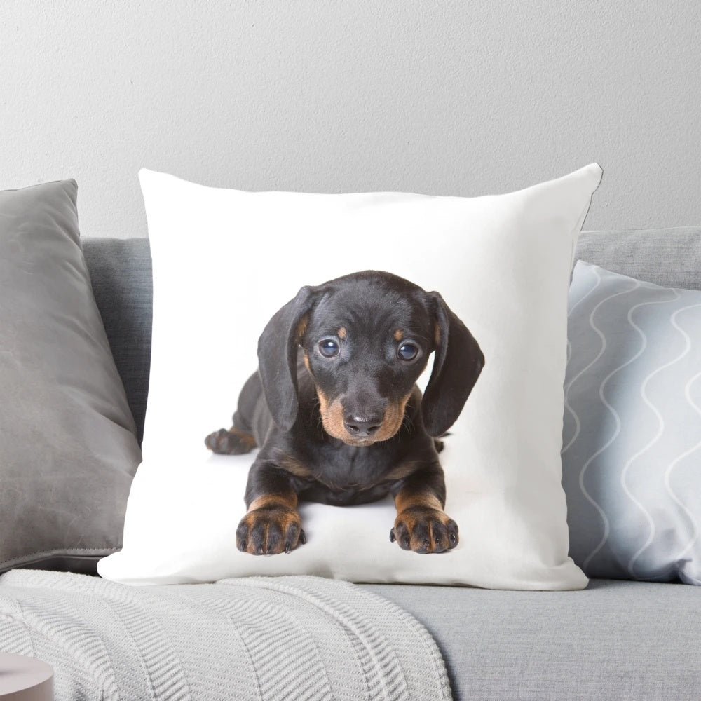 Charming dachshund puppy dog printed on a plush, colorful pillow
