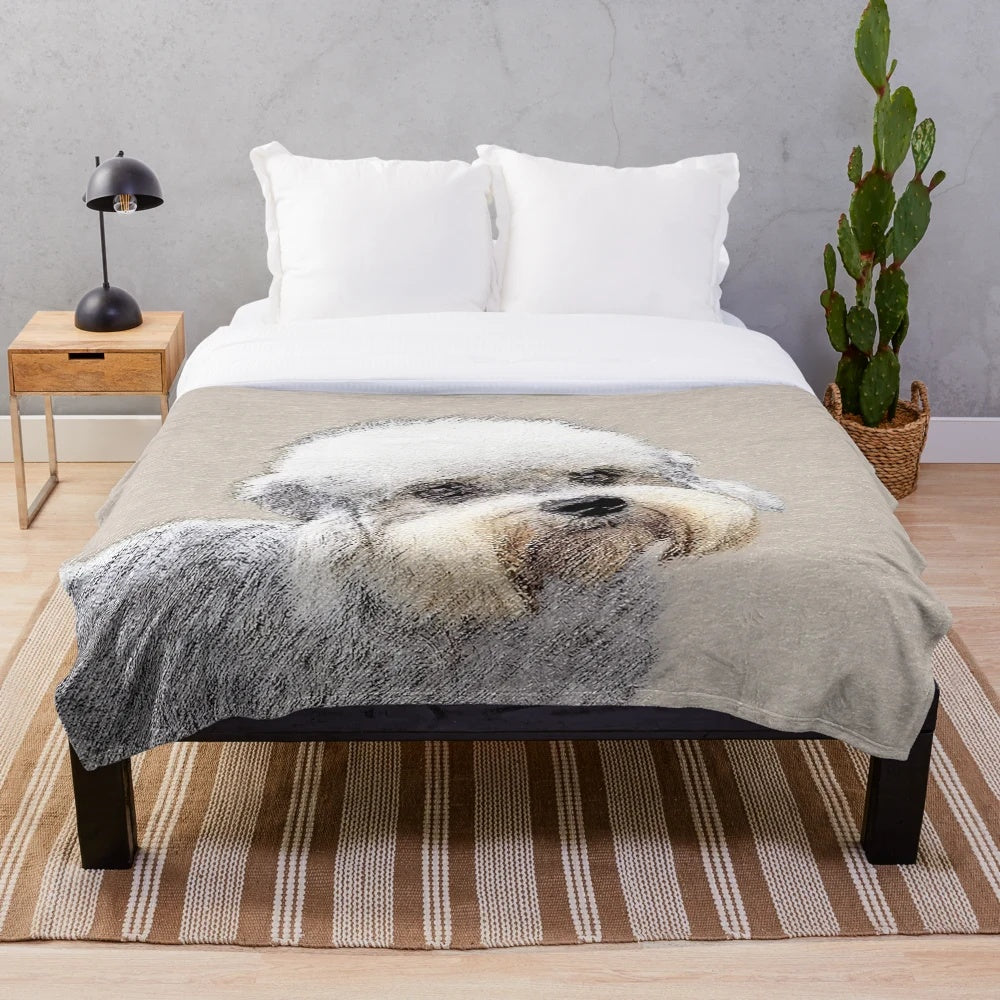 Cute Dandie Dinmont Terrier dog portrait on a plush blanket