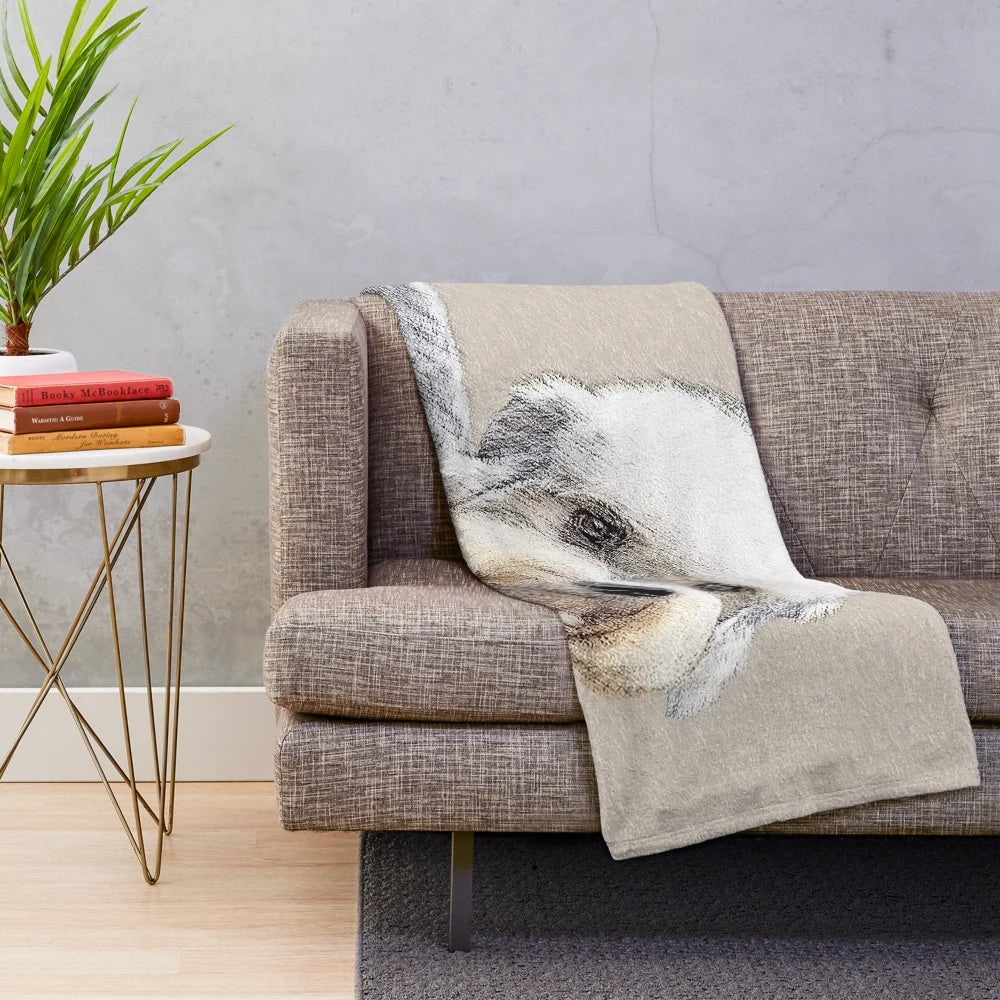 Cute Dandie Dinmont Terrier dog portrait on a plush blanket