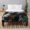 Doberman Tilt Plush Blanket