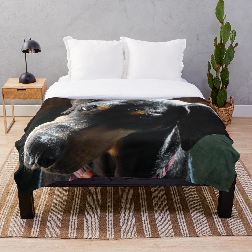Doberman Tilt Plush Blanket