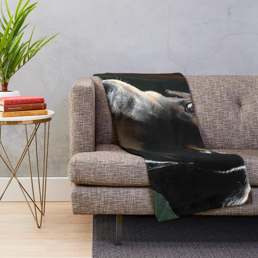 Doberman Tilt Plush Blanket