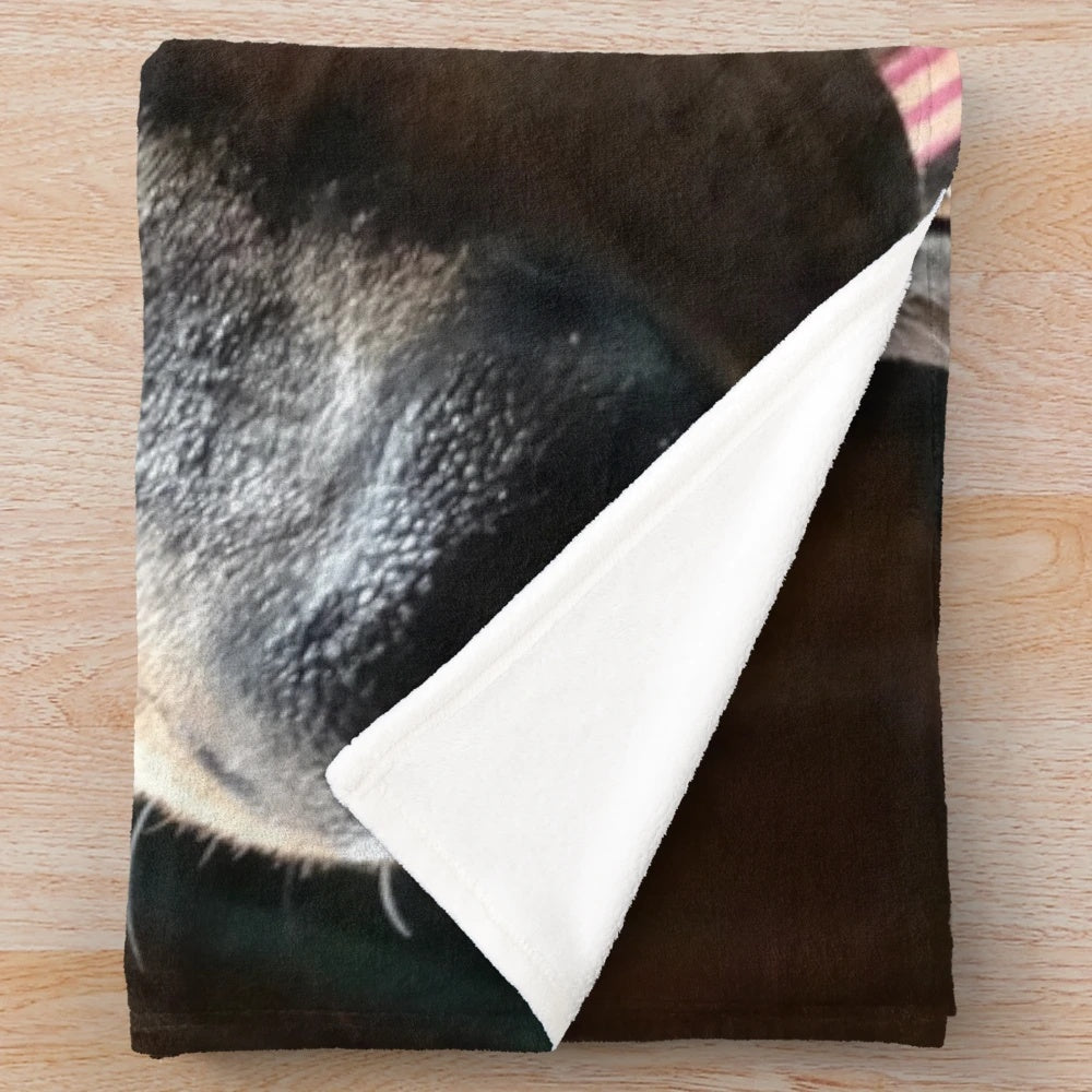 Doberman Tilt Plush Blanket