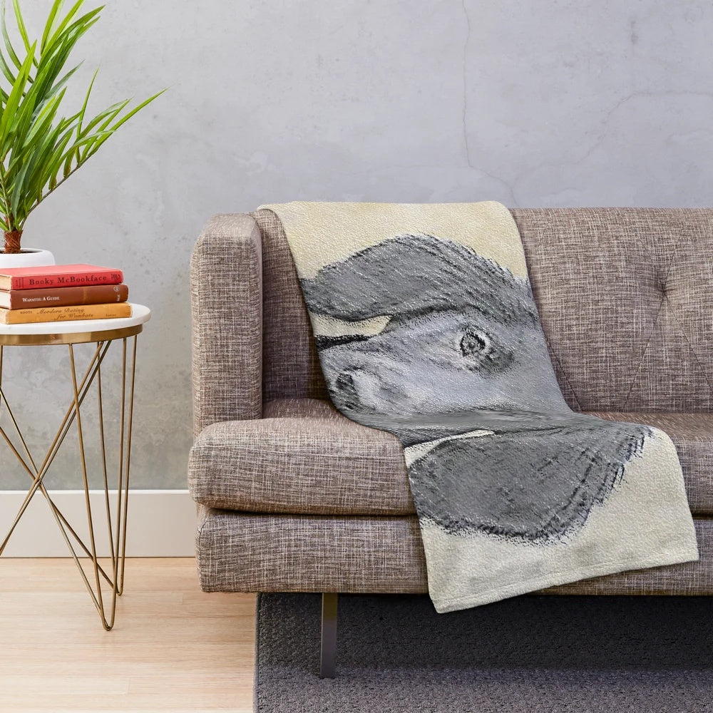 Flat Coated Retriever dog in a cozy plush blanket