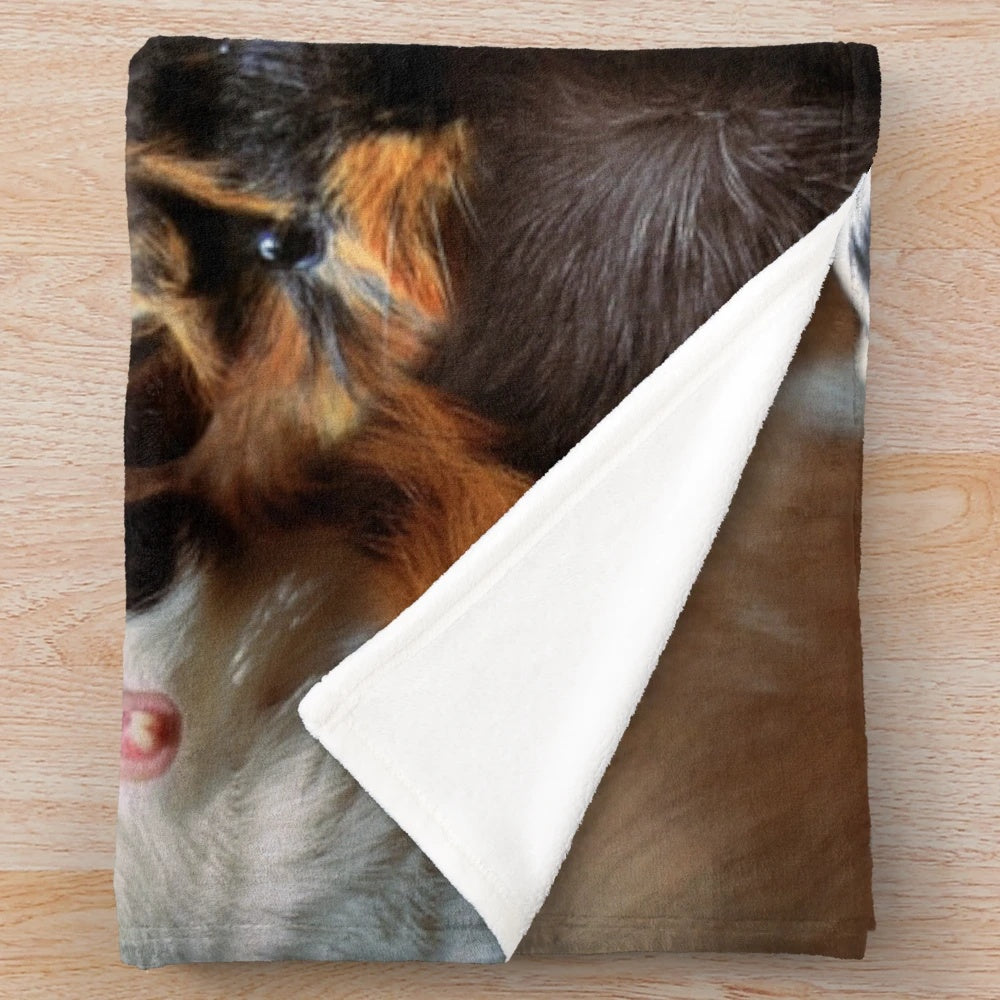 Cuddly guinea pig plush blanket