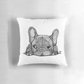 Soft, plush French Bulldog puppy pillow with cute, whimsical design by artist Georgie