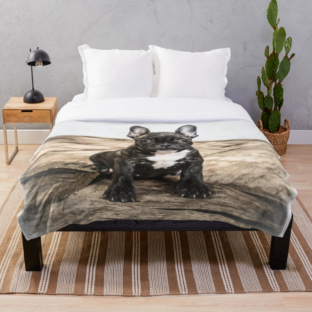Soft and cozy plush blanket featuring a cute French bulldog puppy