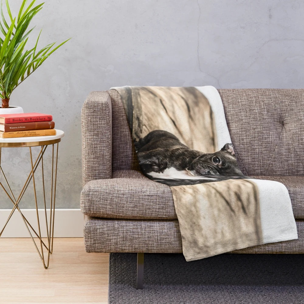 Soft and cozy plush blanket featuring a cute French bulldog puppy
