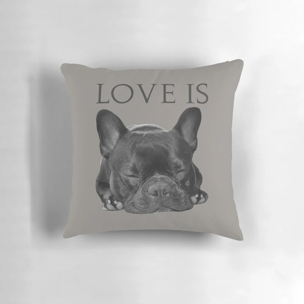 Soft, plush pillow featuring a cute French bulldog design