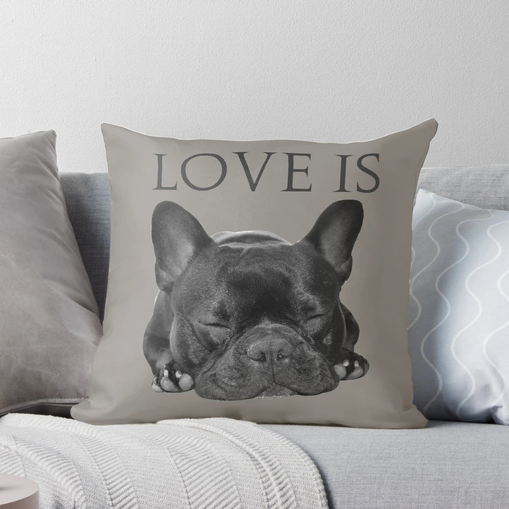 Soft, plush pillow featuring a cute French bulldog design