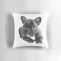 A plush, soft, and cuddly pillow featuring a French bulldog puppy design.