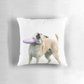 Soft, plush pillow in the shape of a frisbee with a cute corgi dog design
