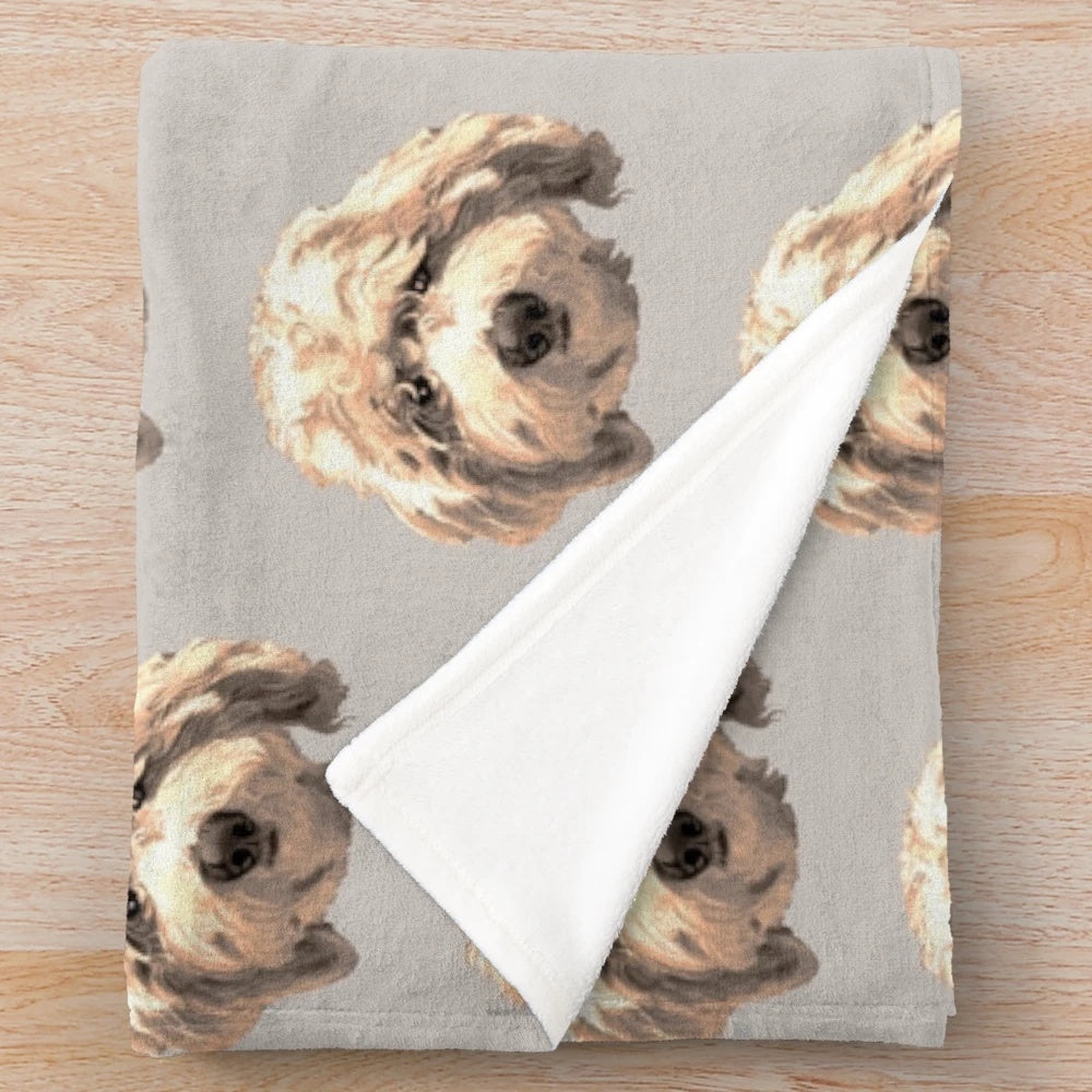 Soft and cuddly golden labradoodle face on a plush blanket