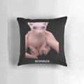 Soft and cuddly pillow featuring a smiling, hairless cat design