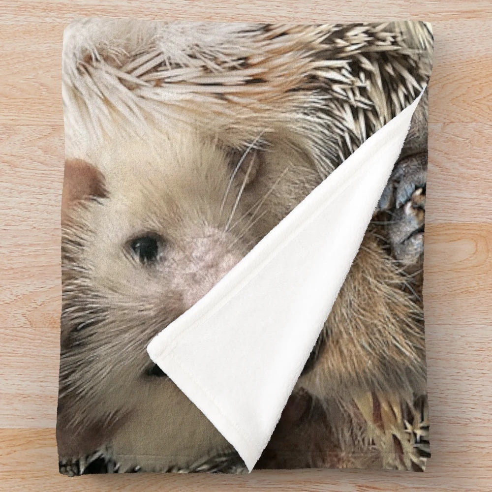 Soft and cuddly hedgehog plush blanket for relaxing and snuggling