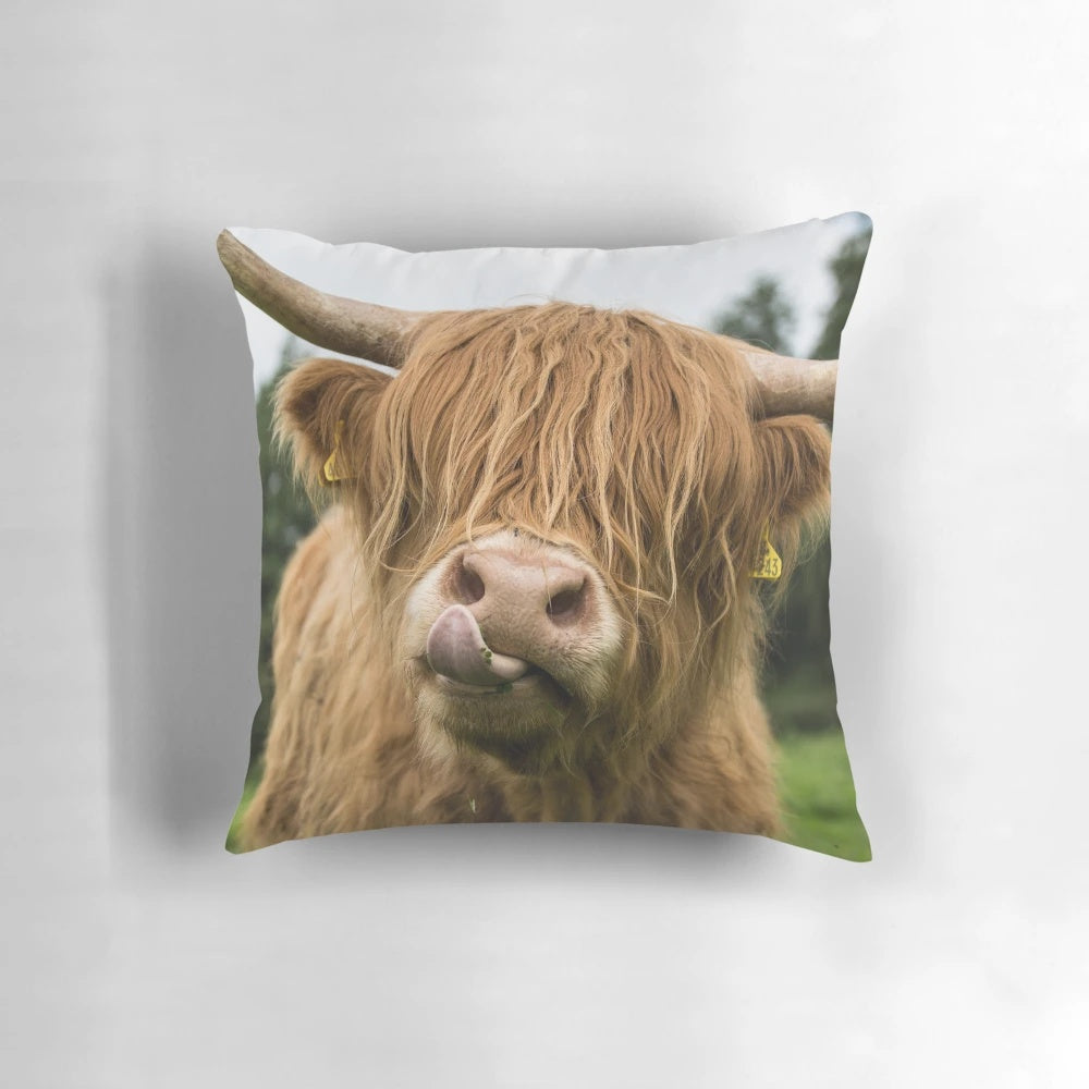 Soft, cozy pillow featuring a close-up image of a fluffy highland cow