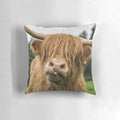 Soft, cozy pillow featuring a close-up image of a fluffy highland cow