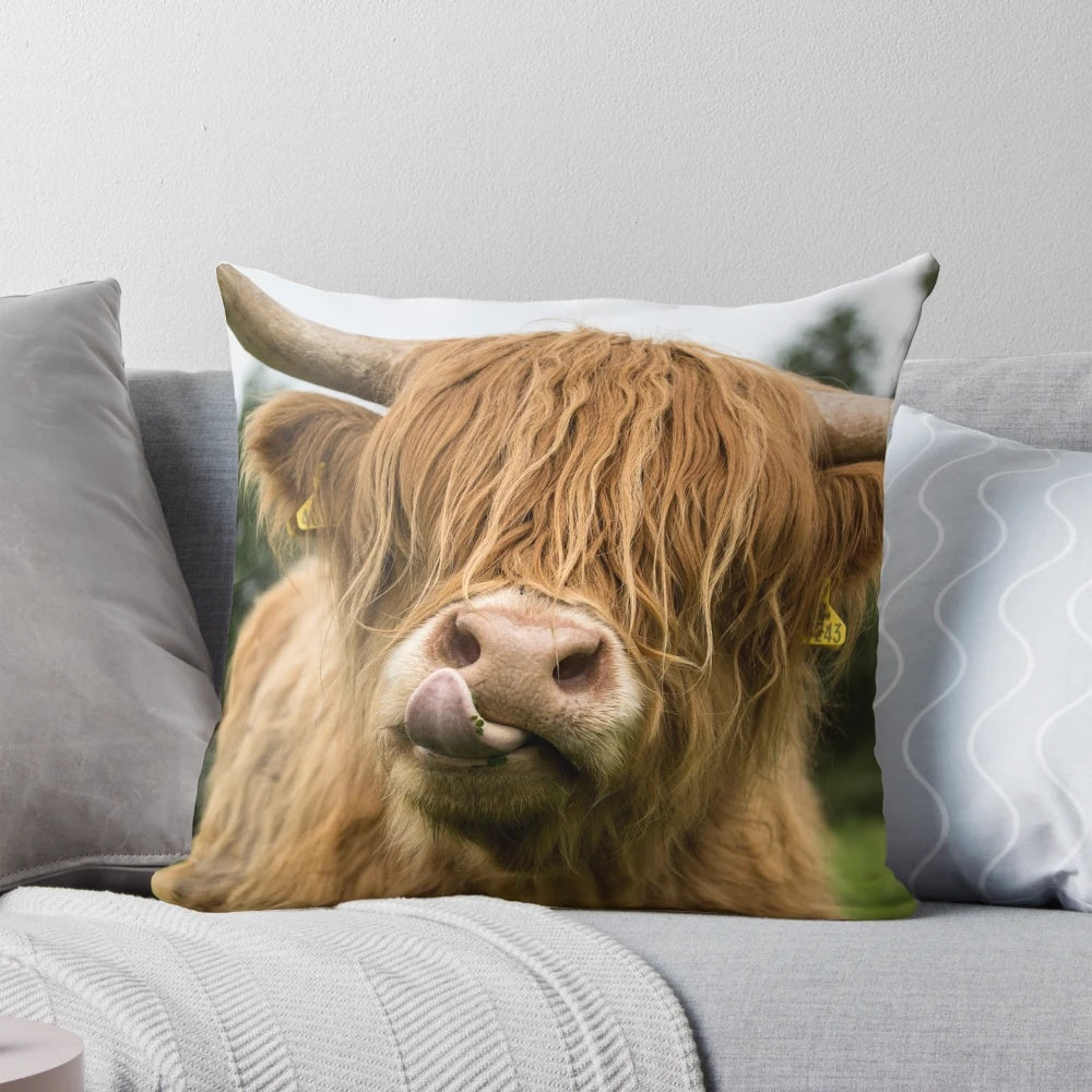 Soft, cozy pillow featuring a close-up image of a fluffy highland cow