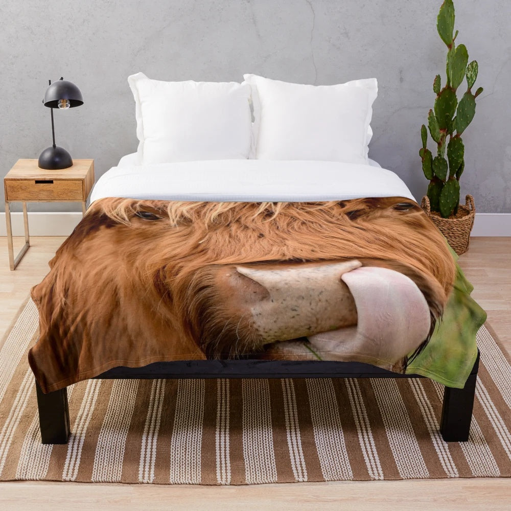 Soft and cuddly highland cow plush blanket