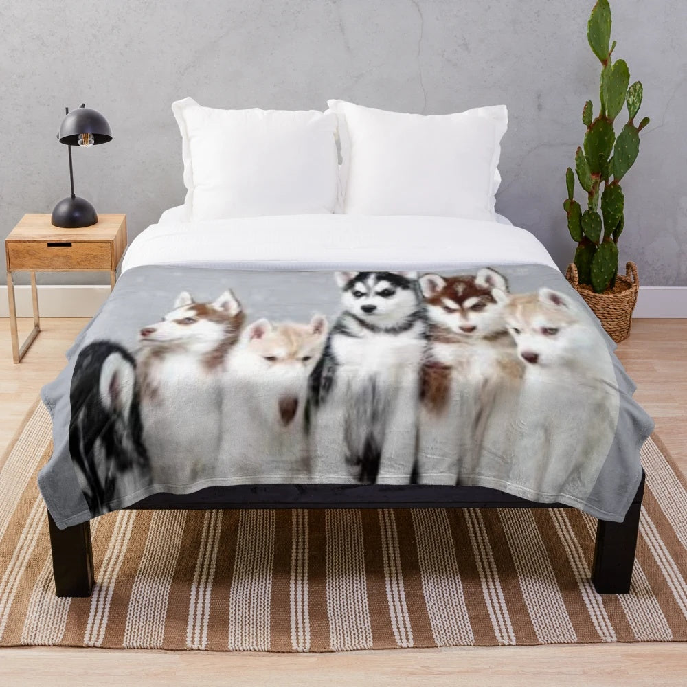 Soft and cuddly plush blanket featuring adorable husky puppies