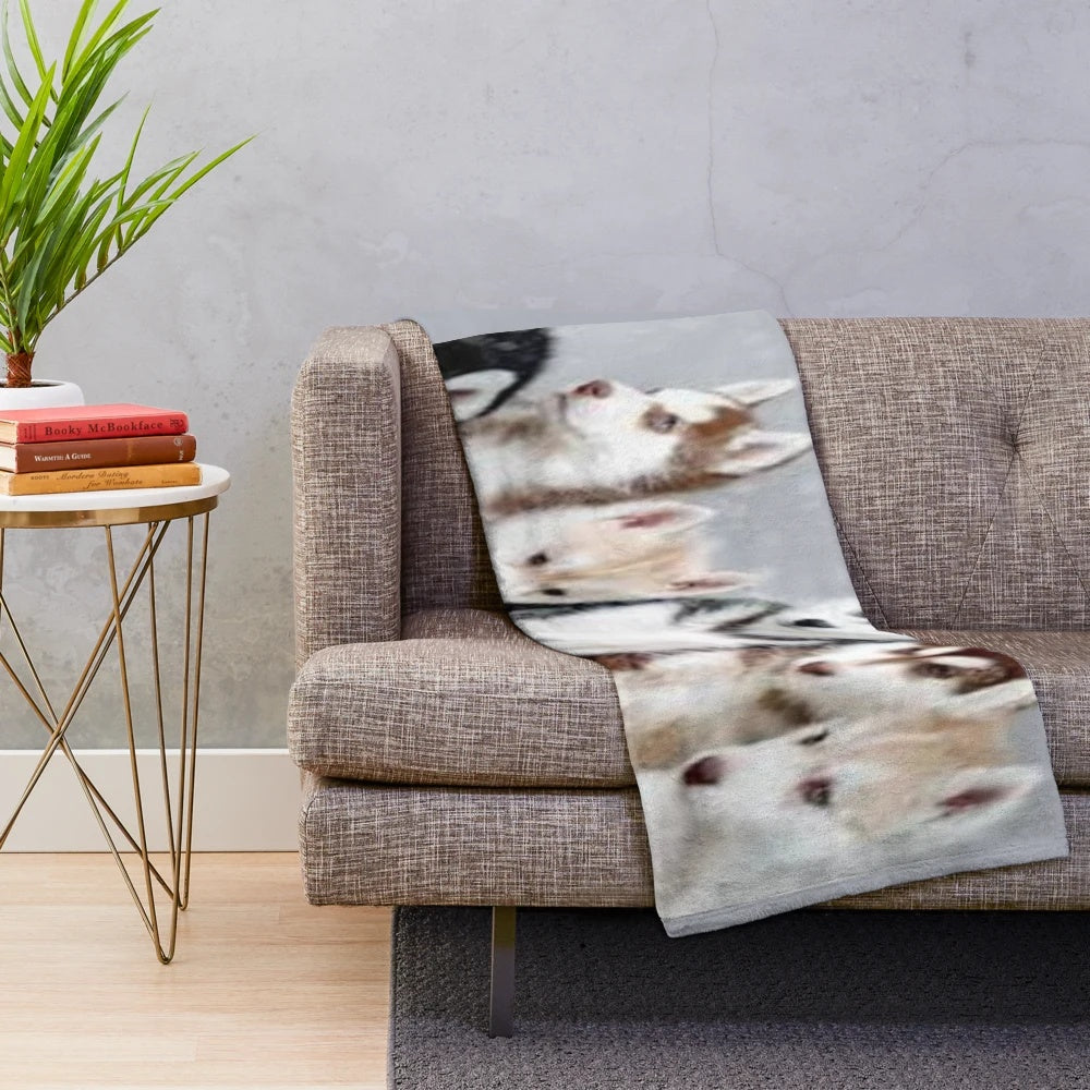 Soft and cuddly plush blanket featuring adorable husky puppies