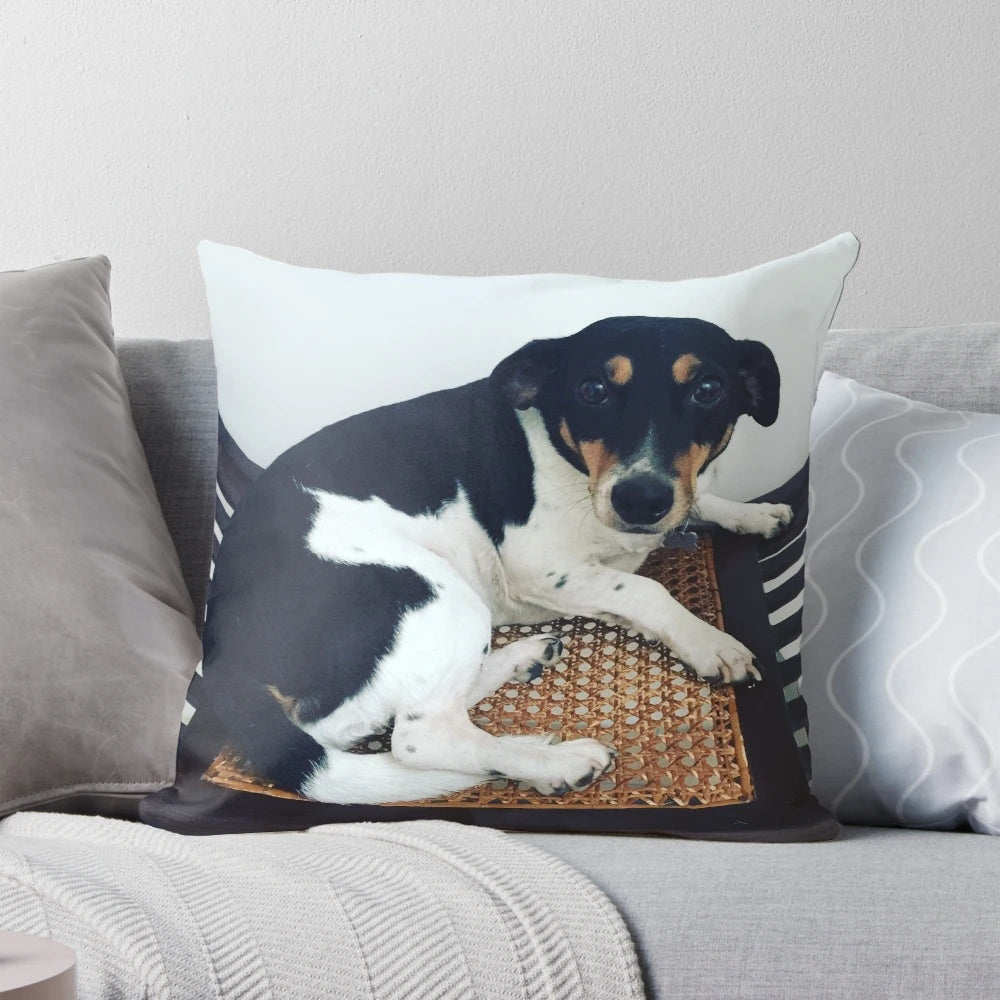 Soft, cuddly jack russell dog pillow for home and office