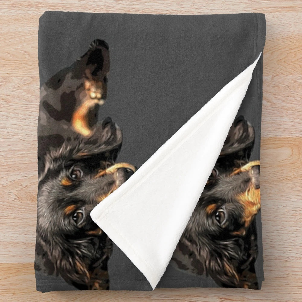 Soft and cuddly long-haired black and tan miniature dachshund plush blanket