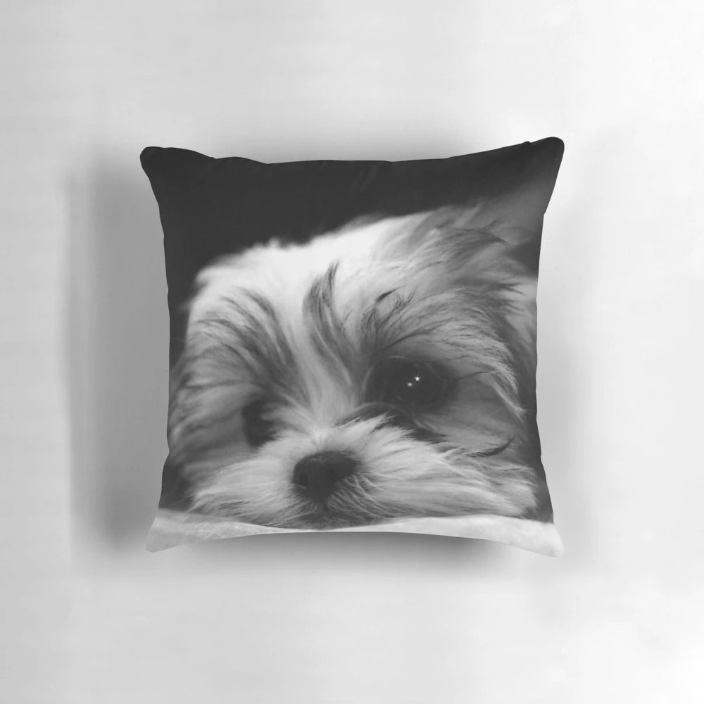 Soft, fluffy Maltese Shitzu mix puppy sitting on a white pillow