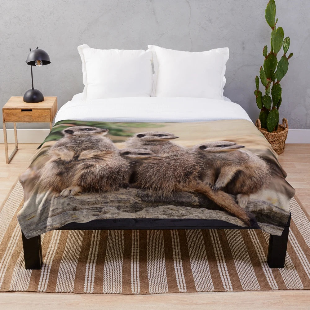 Meerkat plush blanket with cute meerkats