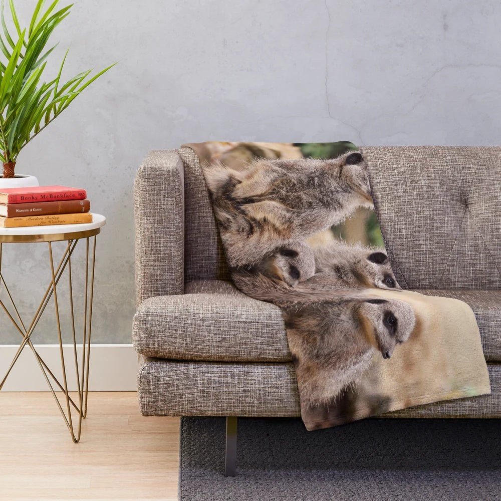 Meerkat plush blanket with cute meerkats