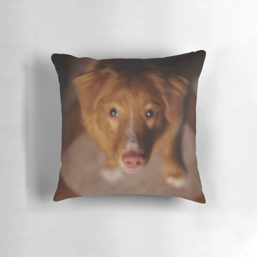 Soft, fluffy pillow featuring the adorable face of a Nova Scotia Duck Tolling Retriever puppy.