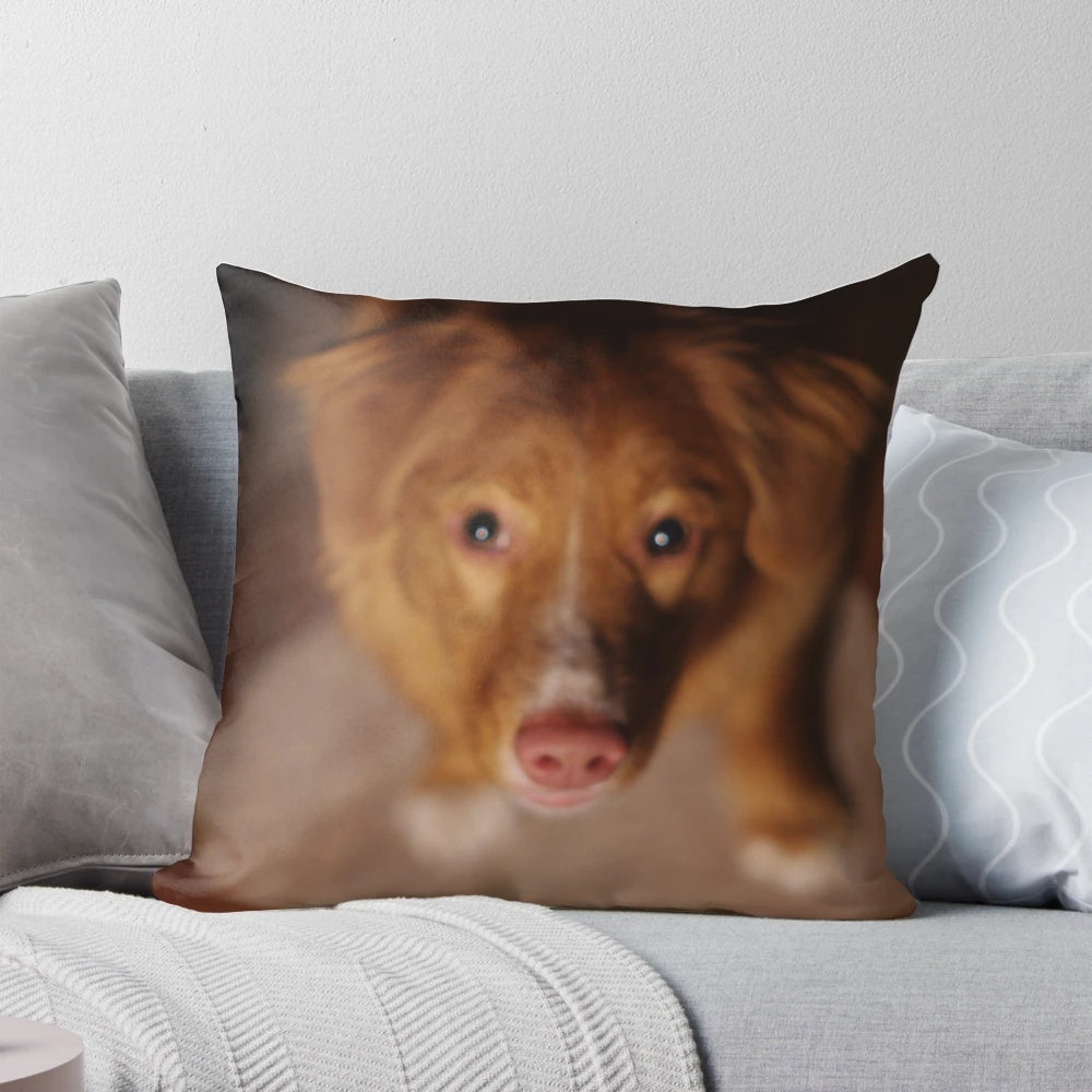 Soft, fluffy pillow featuring the adorable face of a Nova Scotia Duck Tolling Retriever puppy.