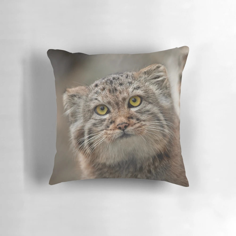 A soft, plush pillow featuring a striking portrait of a Pallas's cat, also known as a manul cat.