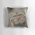 A soft, plush pillow featuring a striking portrait of a Pallas's cat, also known as a manul cat.