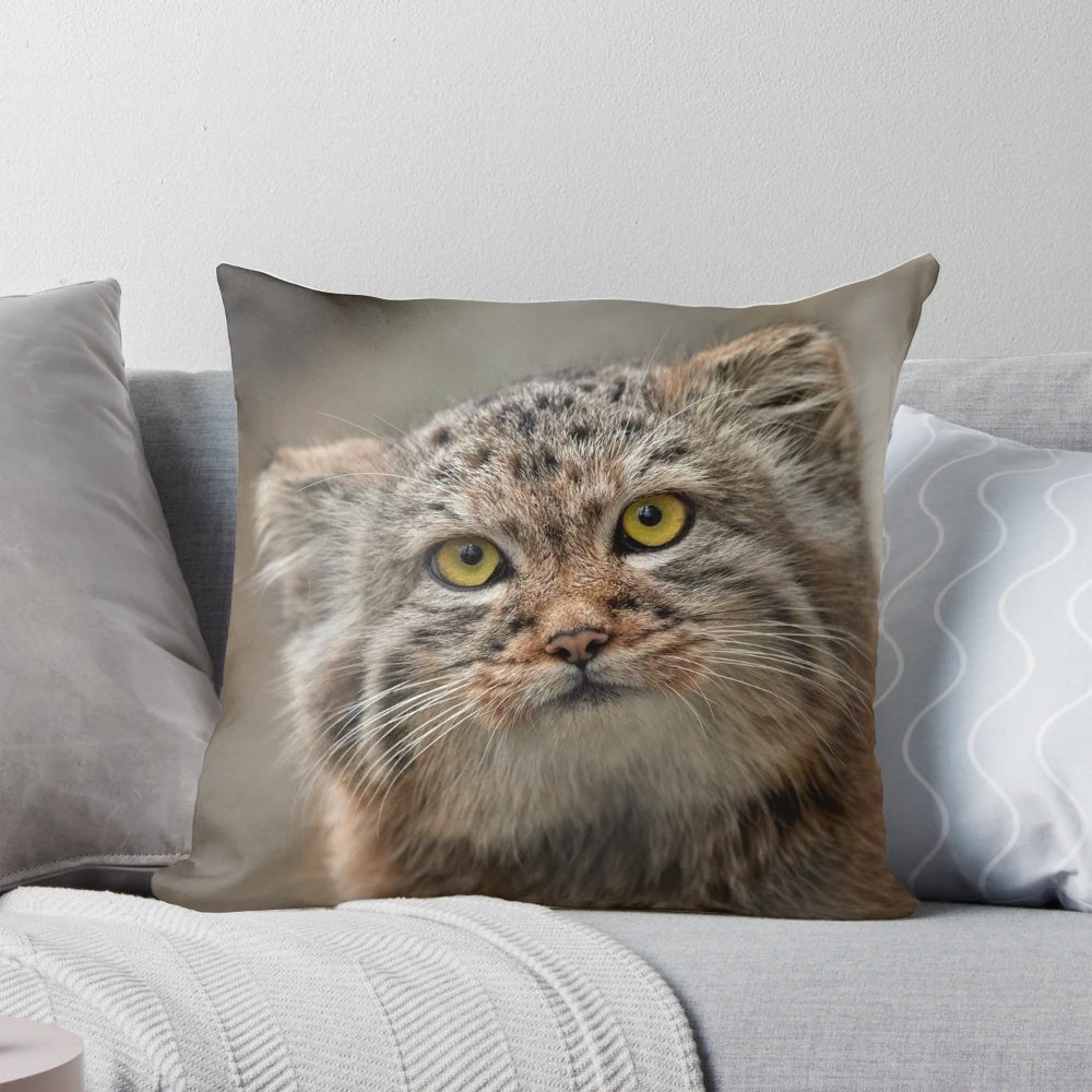 A soft, plush pillow featuring a striking portrait of a Pallas's cat, also known as a manul cat.