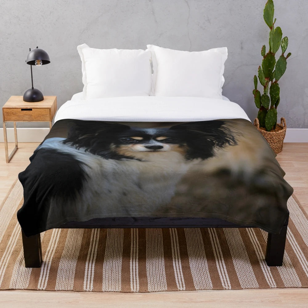 Soft and Cuddly Papillon Dog Plush Blanket