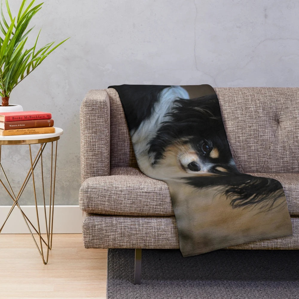 Soft and Cuddly Papillon Dog Plush Blanket