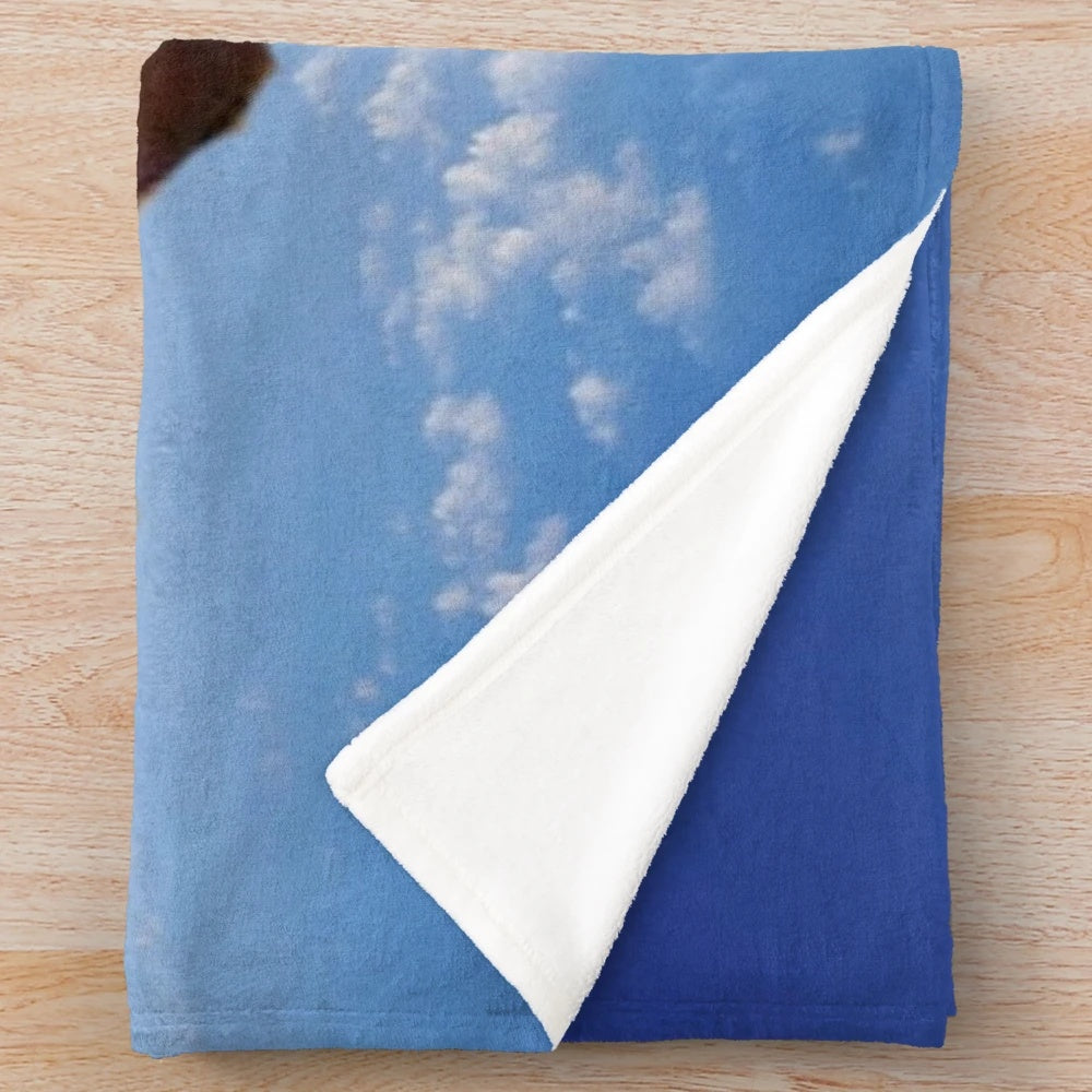 Cute and Cozy Plush Blanket with Amusing Design