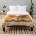 Soft, cozy plush blanket featuring cute pomeranian puppies