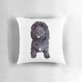 Soft and cuddly pillow featuring an adorable poodle cross puppy in a chocolate color