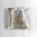 Quokka smiling on a soft, cozy pillow