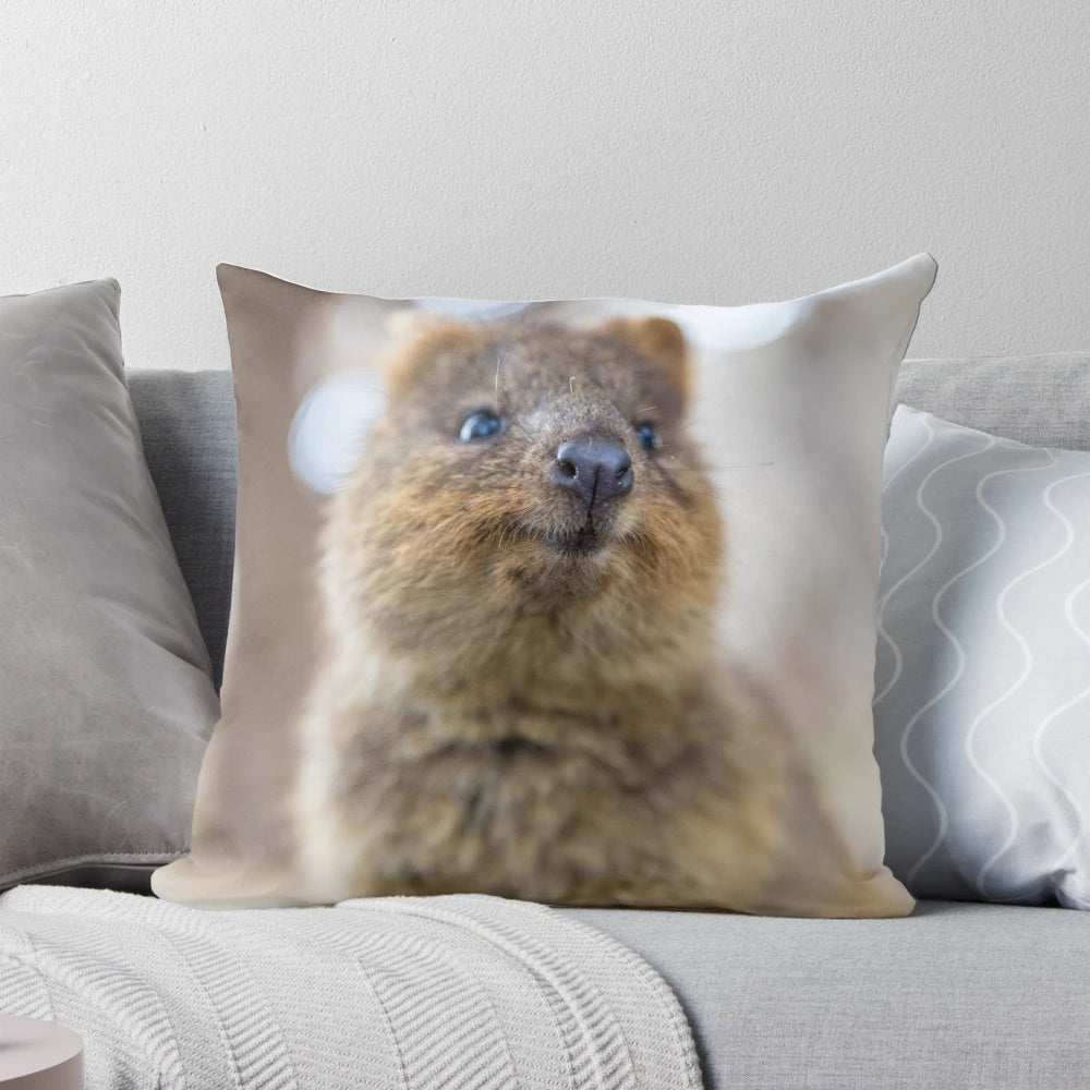 Quokka smiling on a soft, cozy pillow