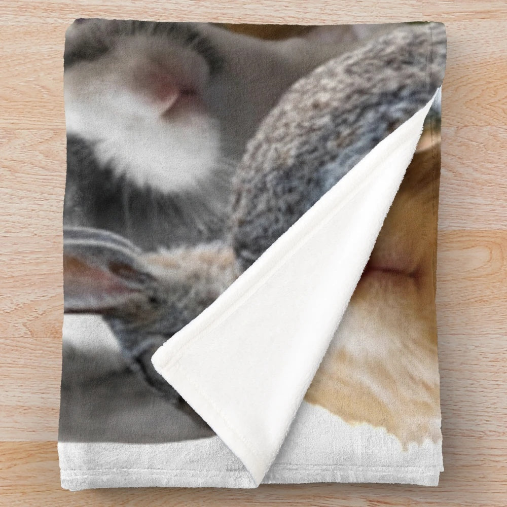 Soft and Plush Rabbit Themed Blanket
