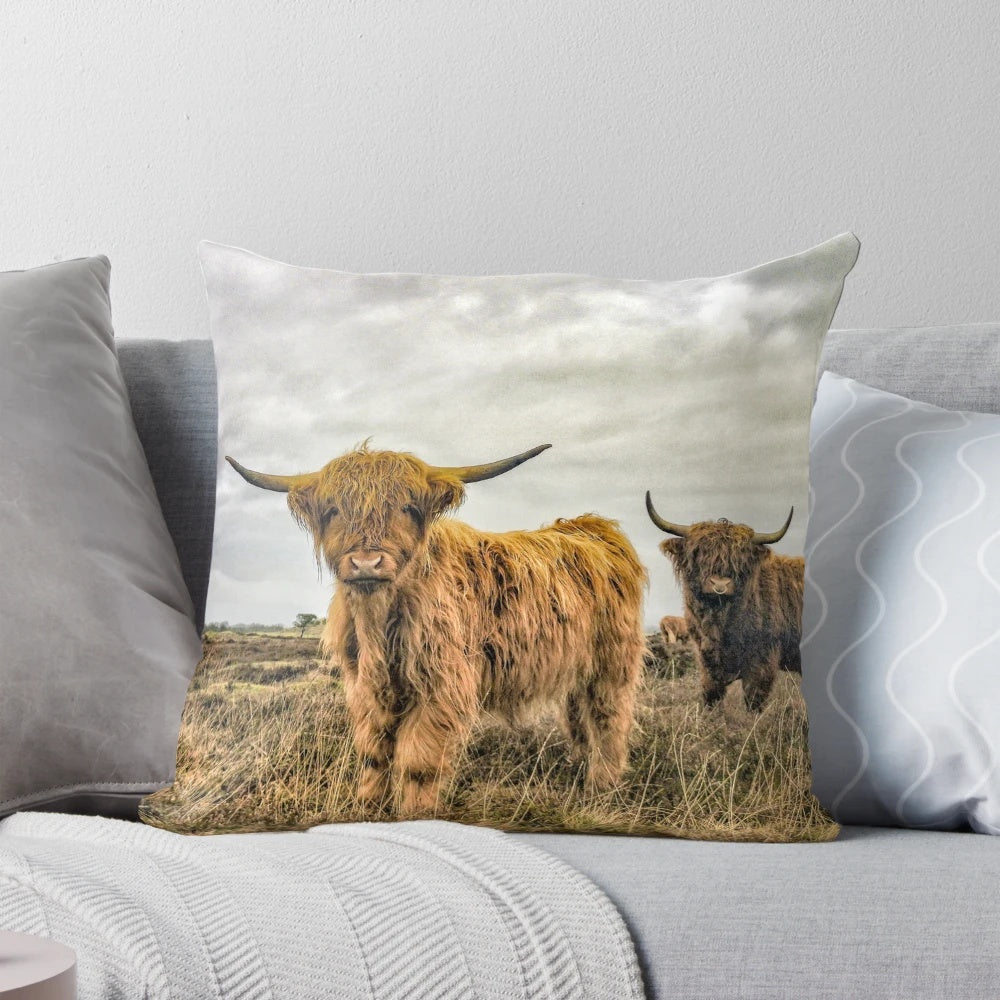 Fluffy and cute black and white Scottish Highland cow portrait on a soft, comfortable pillow.