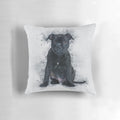 Soft and cuddly Staffordshire Bull Terrier dog breed portrait on a pillow