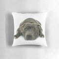 Soft and cuddly Staffordshire Bull Terrier puppy pillow with striking blue eyes