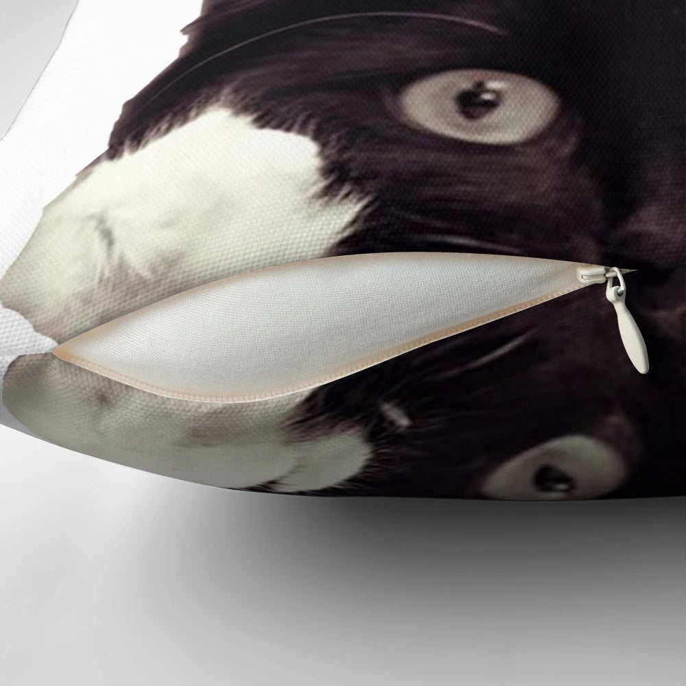 Cute black and white tuxedo cat peeking out from a cozy pillow